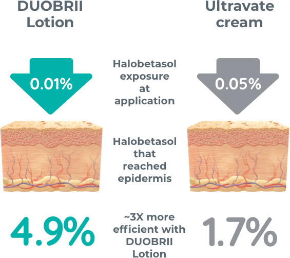 4.9% of the halobetasol in DUOBRII Lotion (0.01%) reached the epidermis; 1.7% of the halobetasol in Ultravate cream (0.05%) reached the epidermis