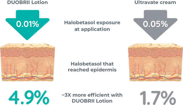 4.9% of the halobetasol in DUOBRII Lotion (0.01%) reached the epidermis; 1.7% of the halobetasol in Ultravate cream (0.05%) reached the epidermis