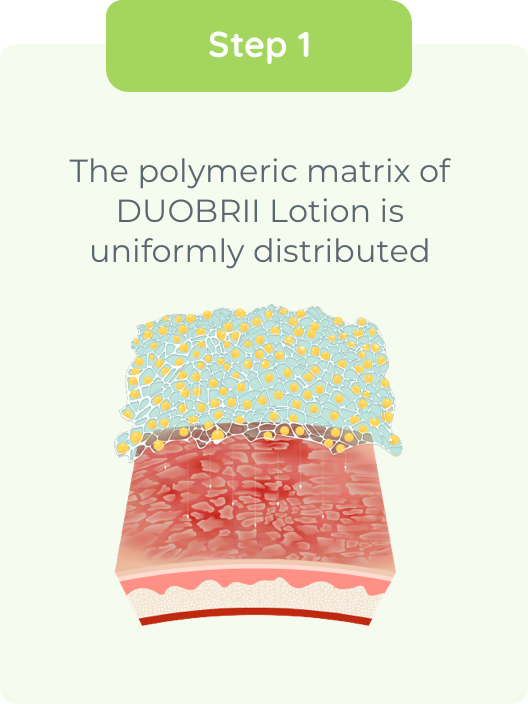 Depiction of uniform distribution of polymeric matrix of DUOBRII Lotion on skin