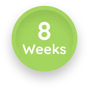8 weeks